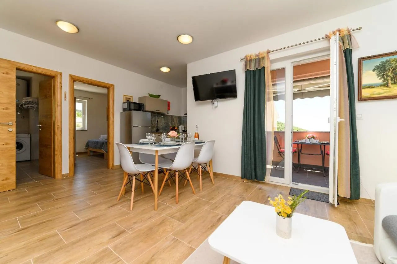 Guest house Apartments Forever Miholascica